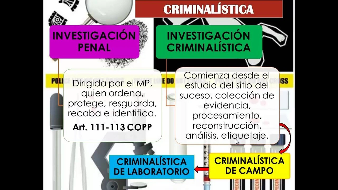 Que es investigación penal CICPC: Profesiones Que Buscan la Verdad en Venezuela